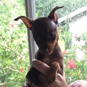 Meet your Posher, Theresa